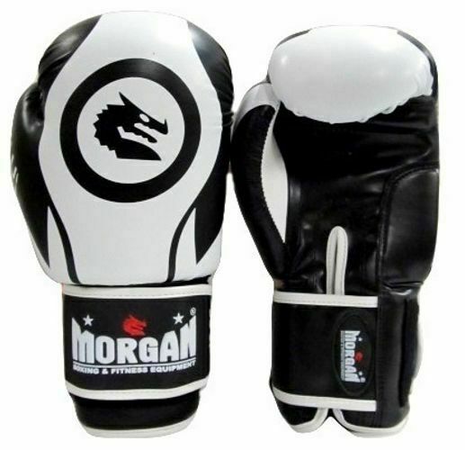 warrior boxing gloves