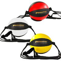 PUNCH [Urban] 10 inch Floor To Ceiling Ball W/Straps